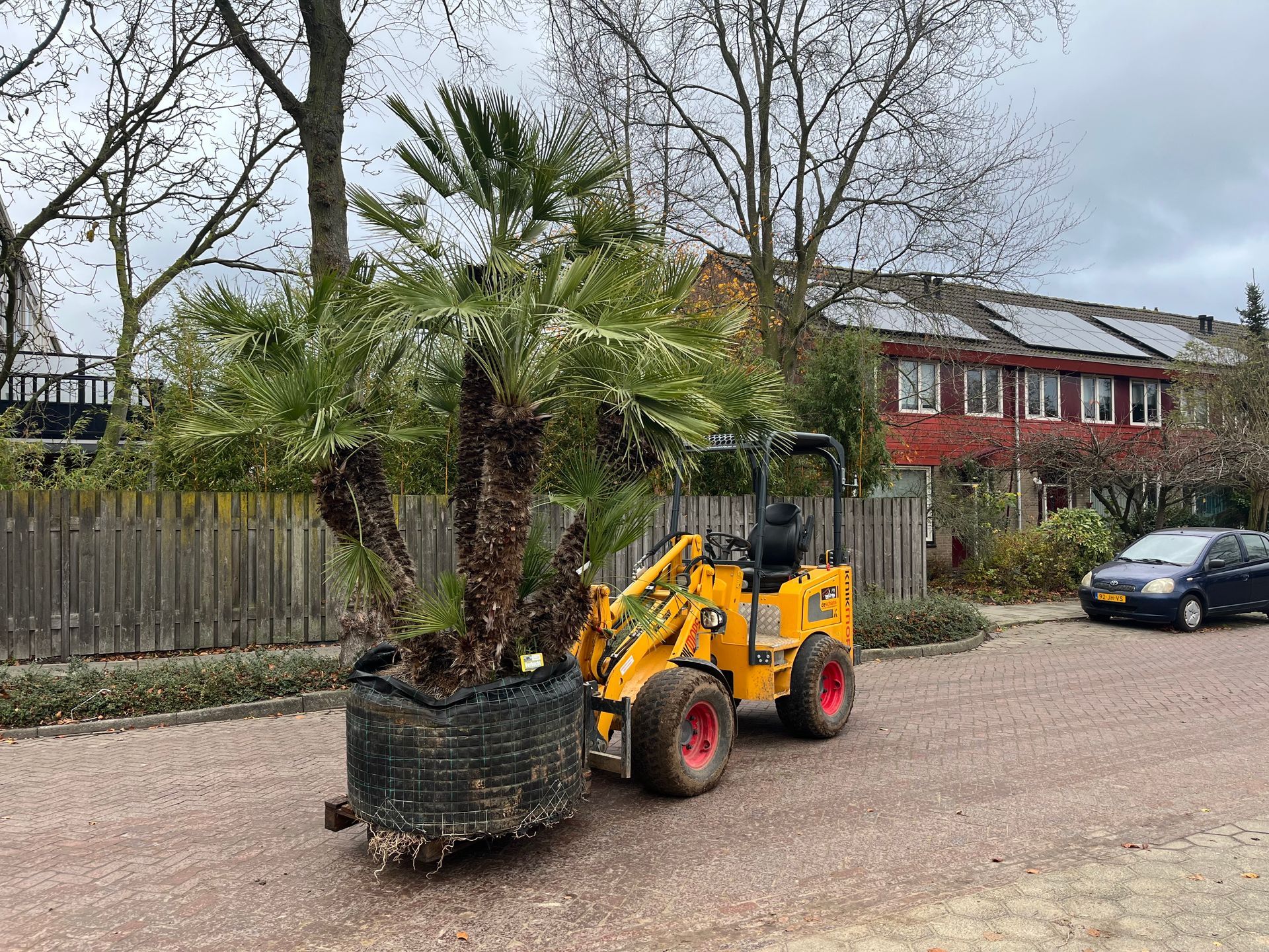 Tuinaanleg Rosmalen Tuinaanleg Rosmalen