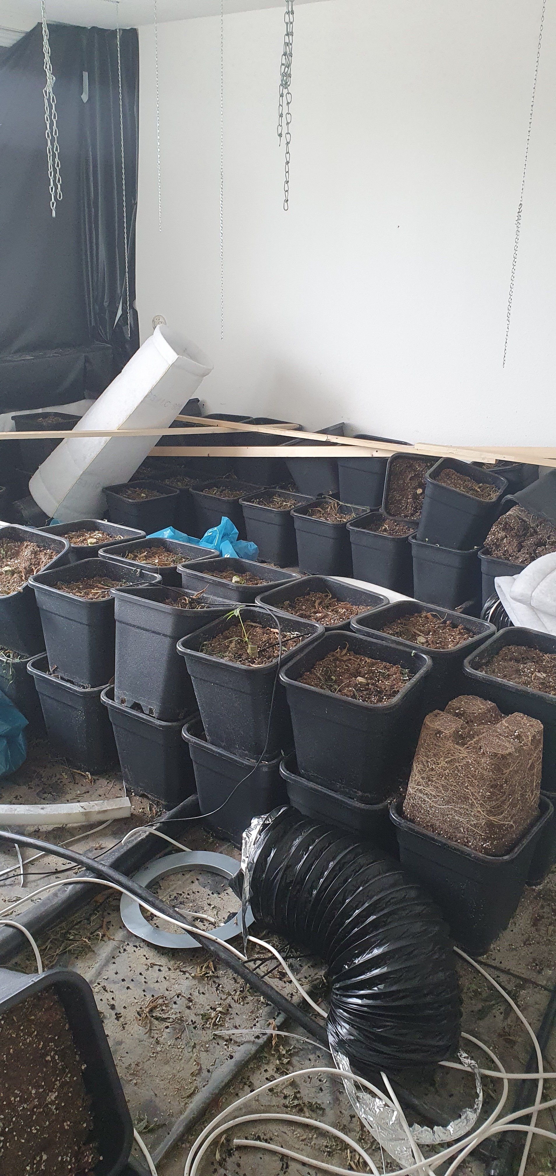 Ontruiming hennepkwekerij