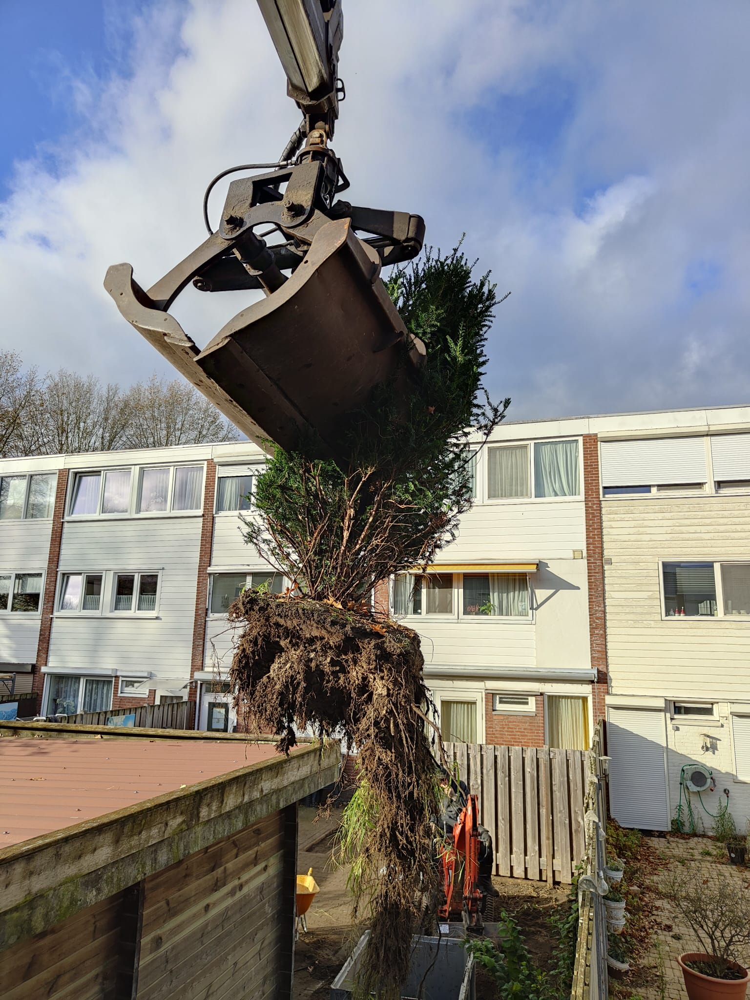 Planten verwijderen Tilburg