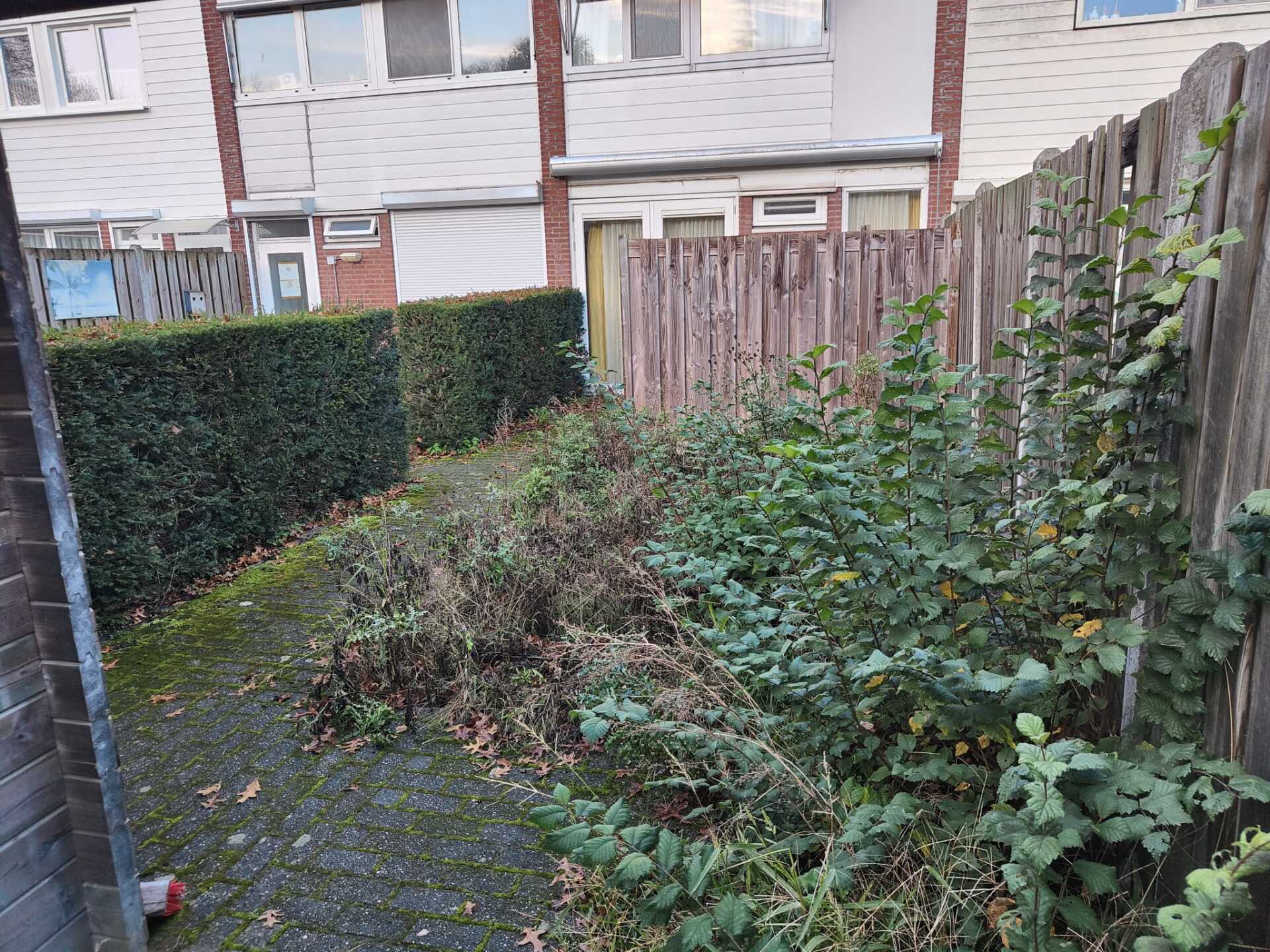 Planten verwijderen Tilburg