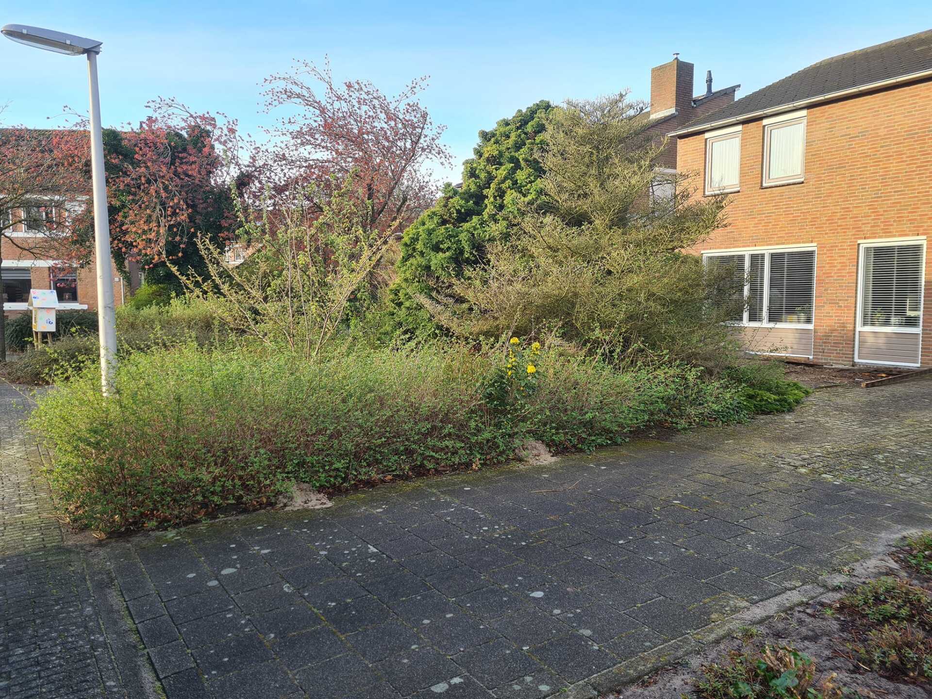 Tuinaanleg Vlijmen 001