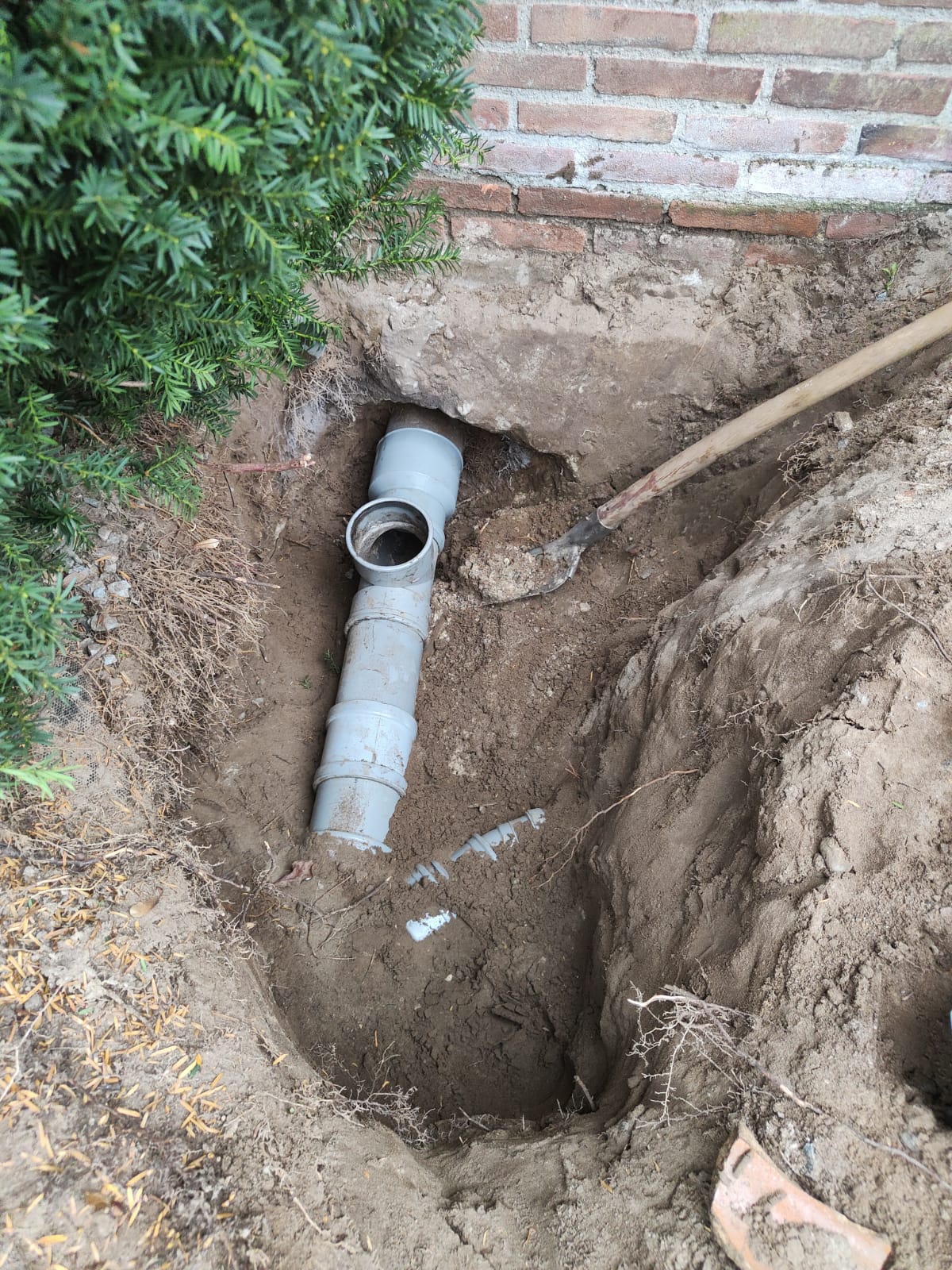 Wortel ingroei riool Den Bosch