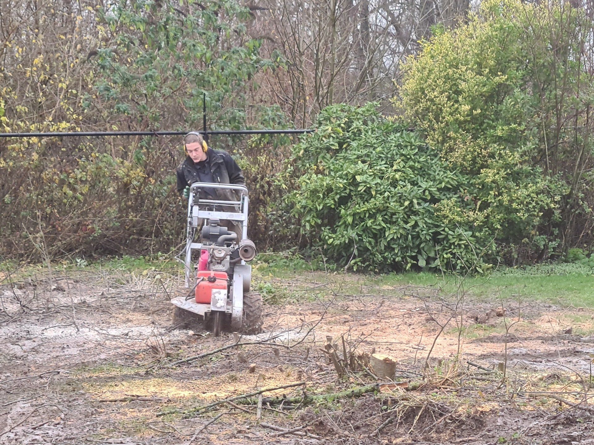 Frees huren Den Bosch