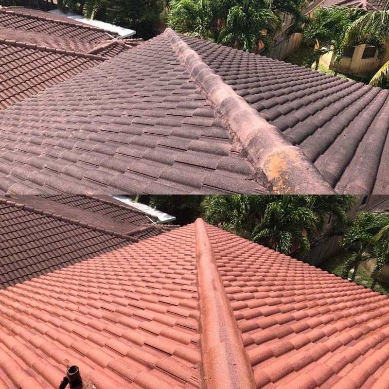 before and after roof cleaning