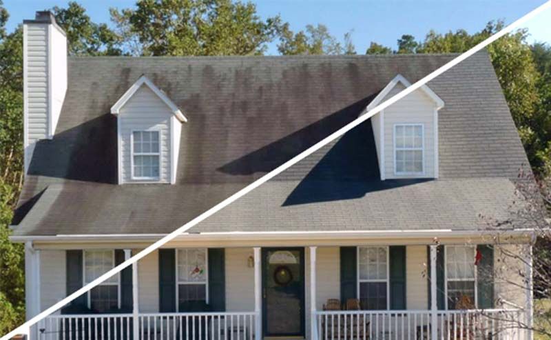 before and after roof cleaning