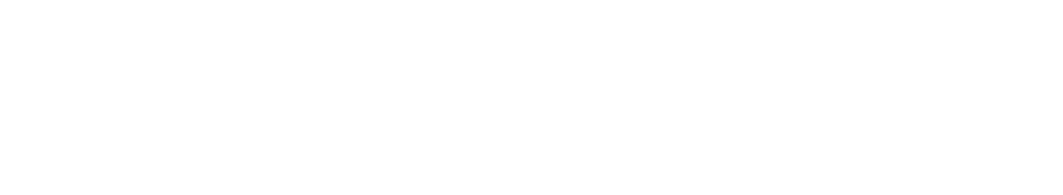 VICC, LLC