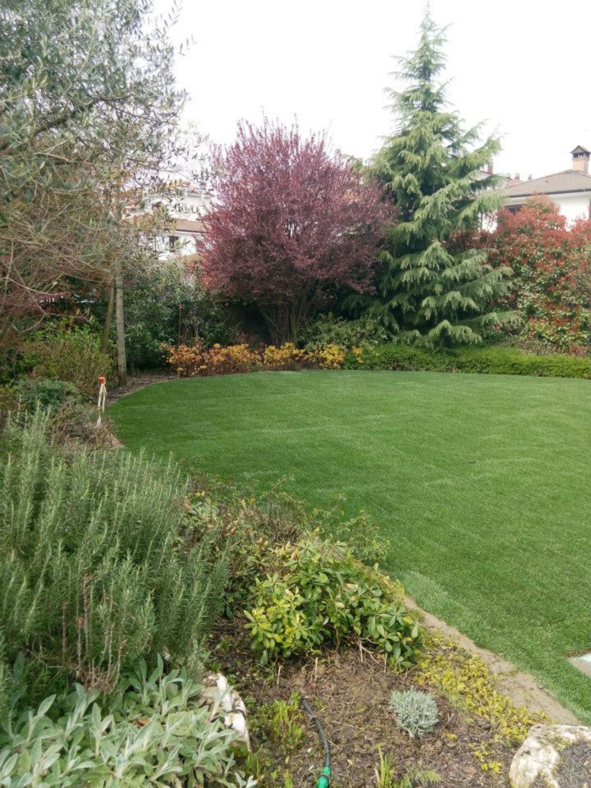 giardino curato con prato all'inglese