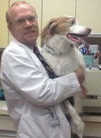 Experienced Veterinarian | Selden, NY | Middle Country Animal Hospital