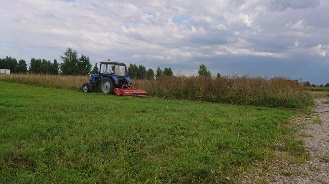 Šienavimo (žolės pjovimo) paslaugos