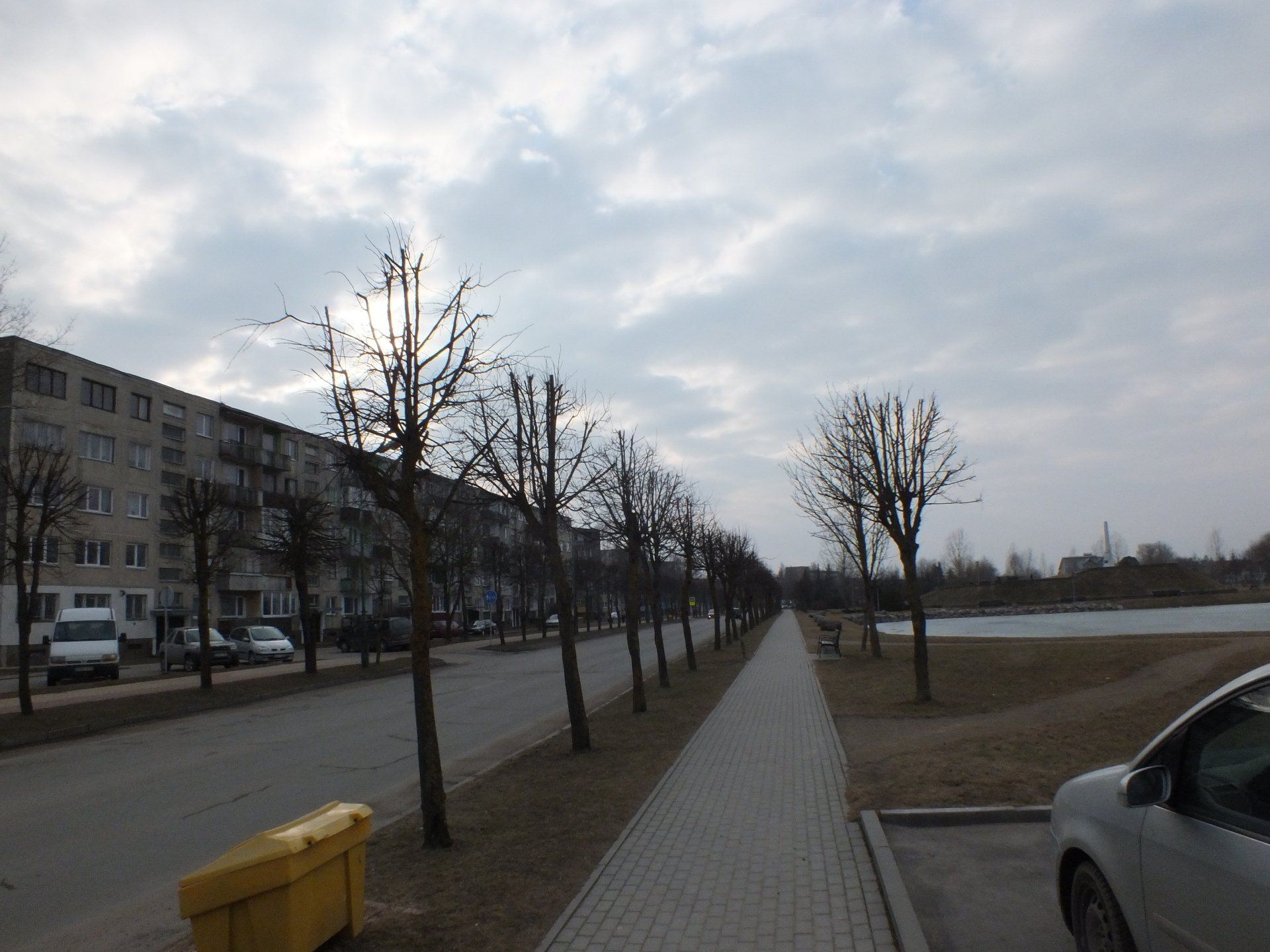 Dekoratyvinių augalų sodinimas