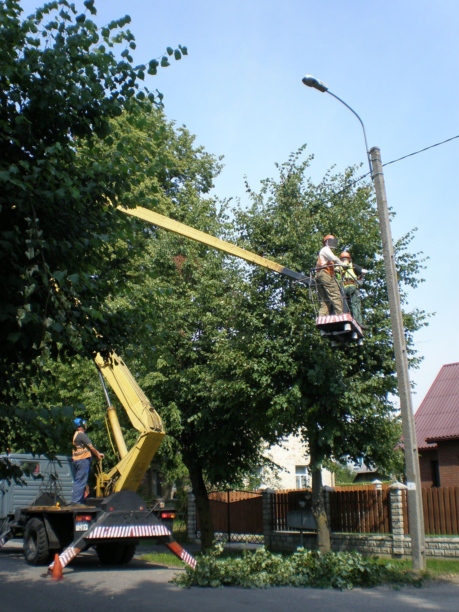 Medžių ir krūmų pjovimas, genėjimas