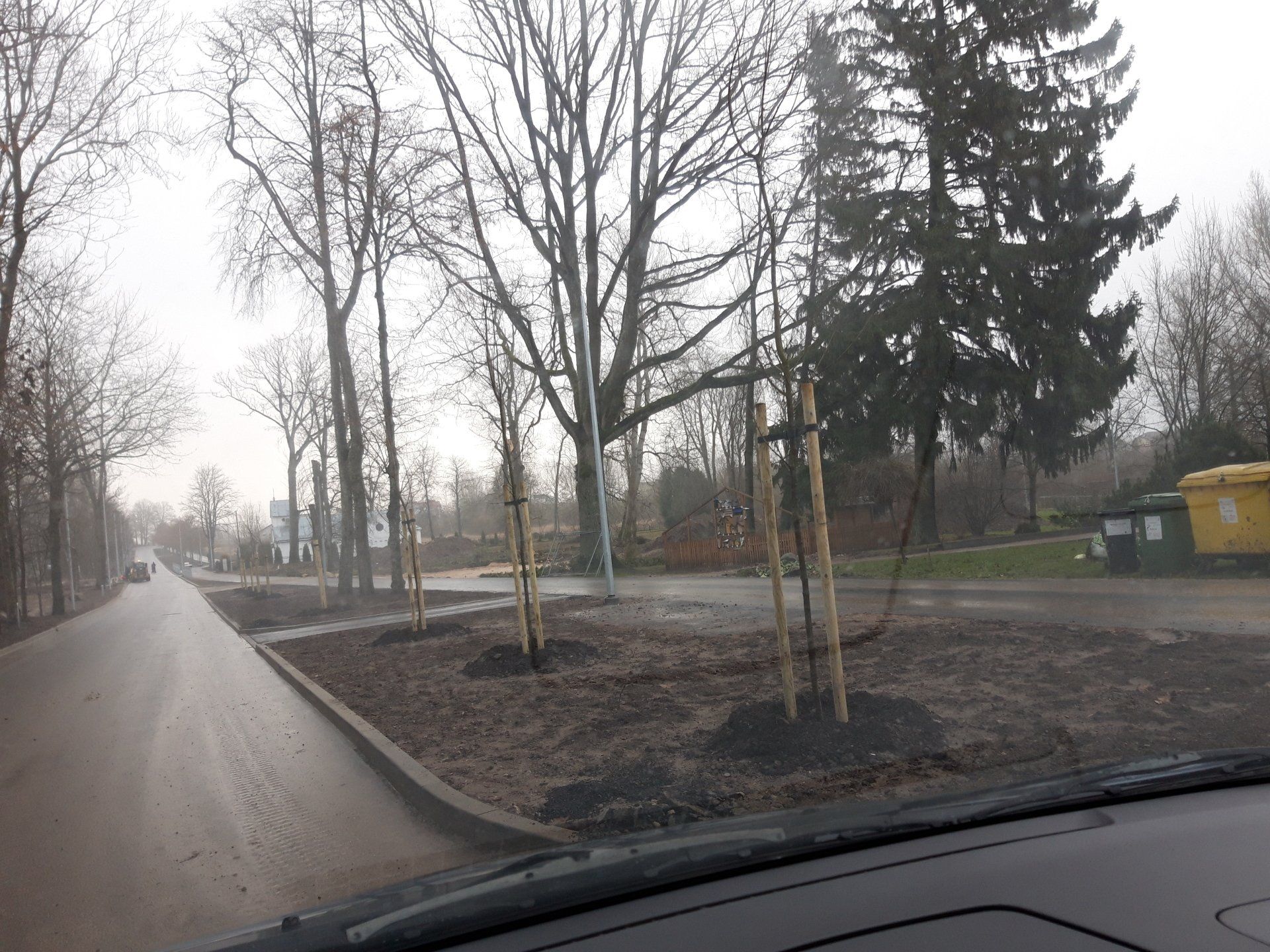 Dekoratyvinių augalų sodinimas