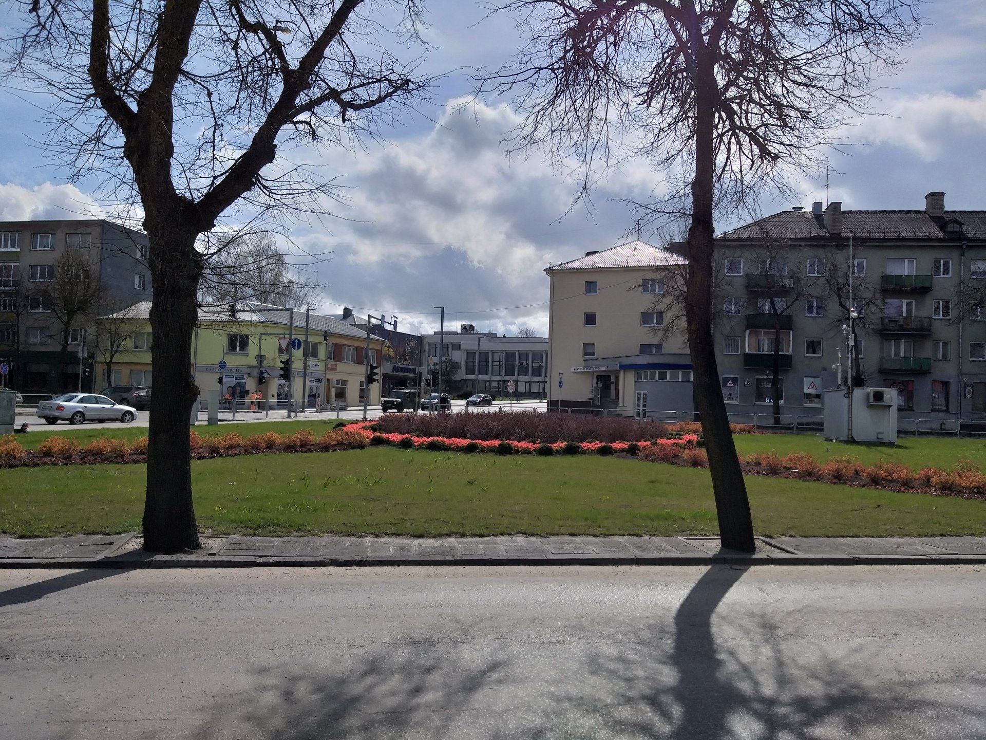 Dekoratyvinių augalų sodinimas