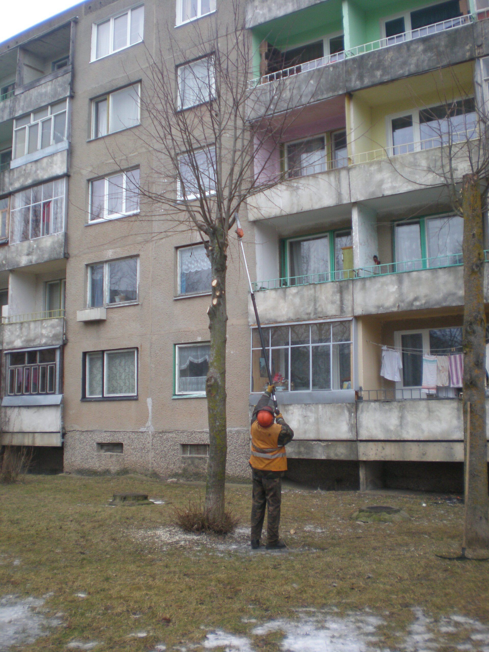 Medžių ir krūmų pjovimas, genėjimas