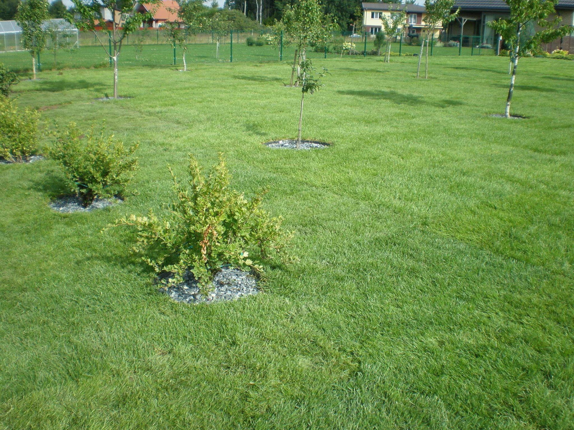 Šienavimo (žolės pjovimo) paslaugos