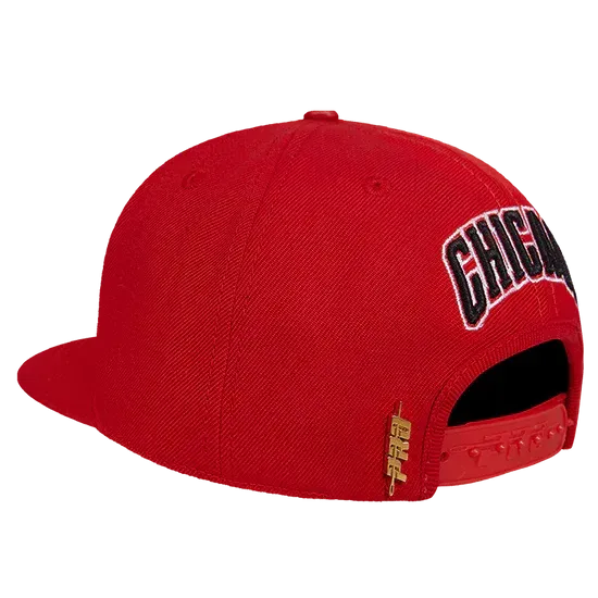 Pro Standard NBA Chicago Bulls Classic Logo Snapback