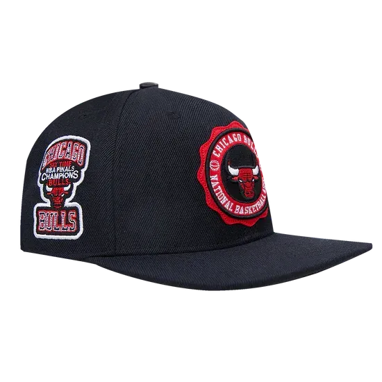 Pro Standard-NBA Chicago Bulls Crest Emblem Wool Snapback