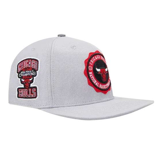 Pro Standard-NBA Chicago Bulls Crest Emblem Snapback