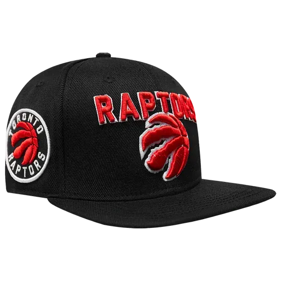 Pro Standard-NBA Toronto Raptors Retro Logo Snapback