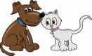 dogs