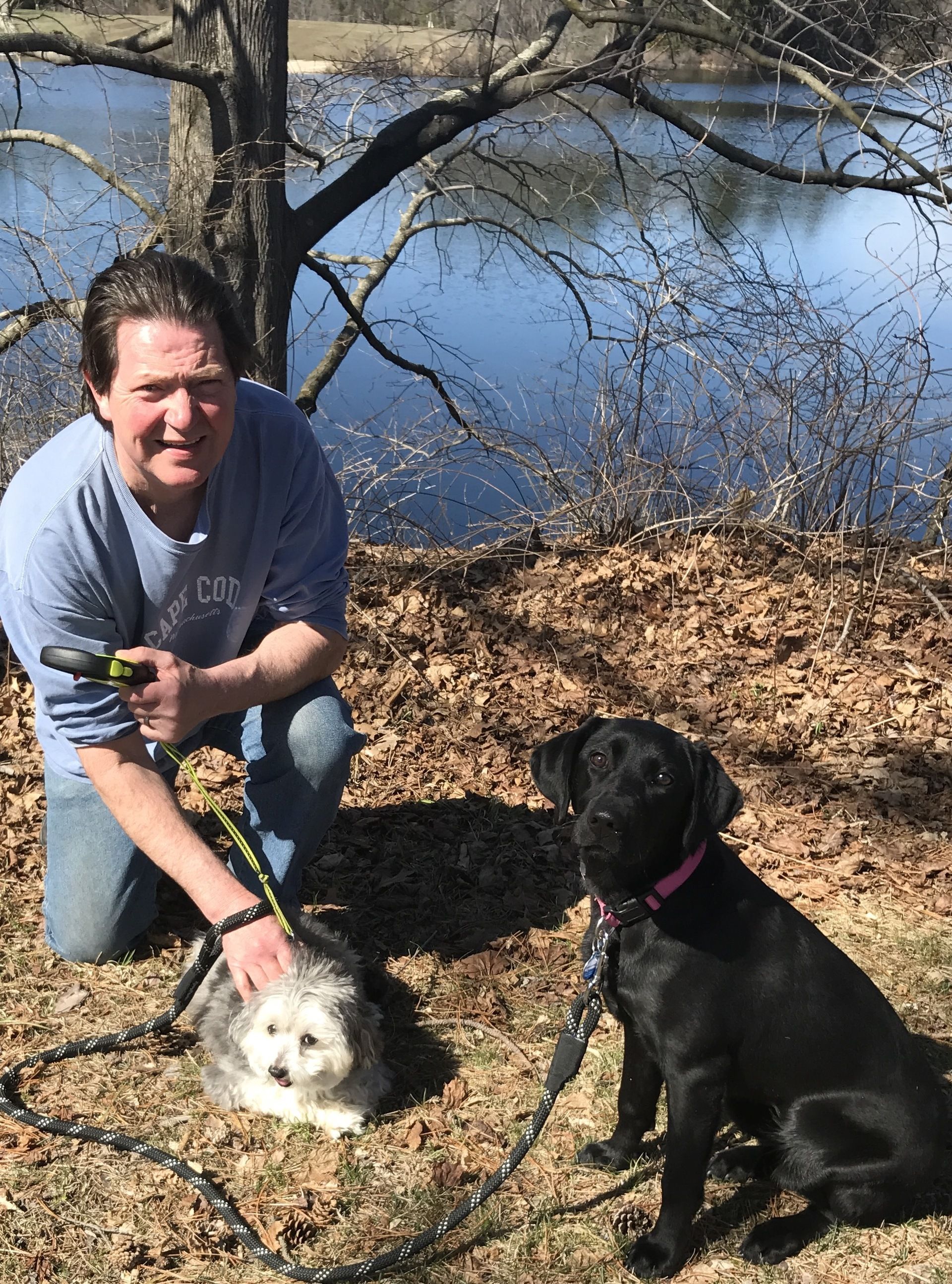 A man is kneeling down next to two dogs.