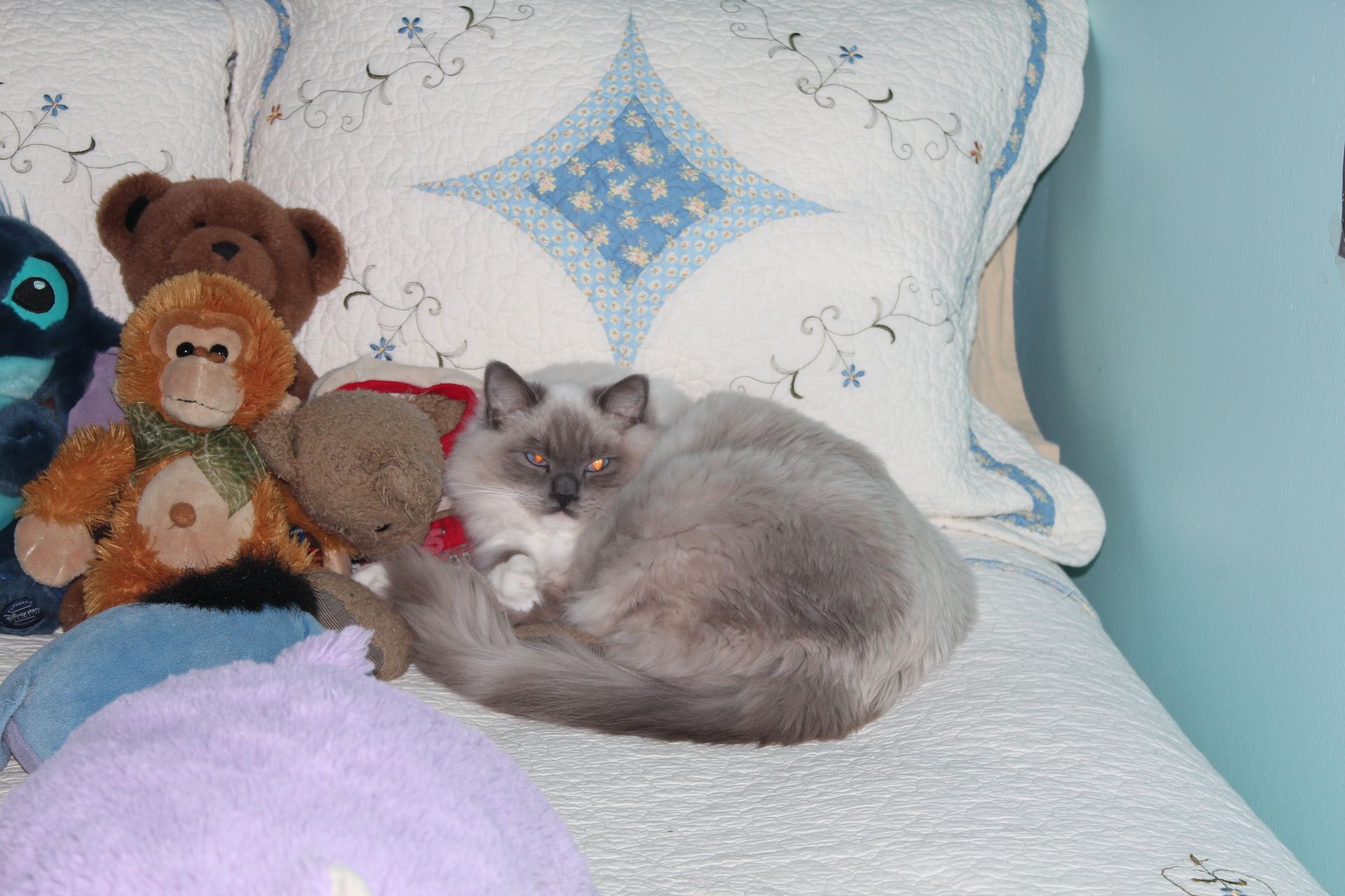 A cat is laying on a bed with stuffed animals.