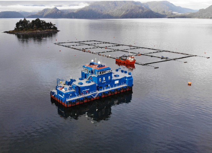 Barco azul y embarcación roja cerca de recintos de piscifactorías en un lago, con una isla y montañas al fondo.
