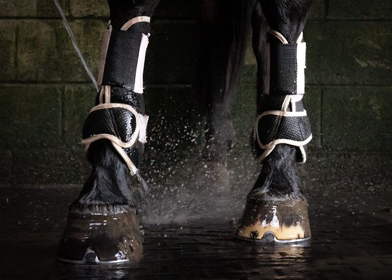 HUSK Breathable Horse Boots DON