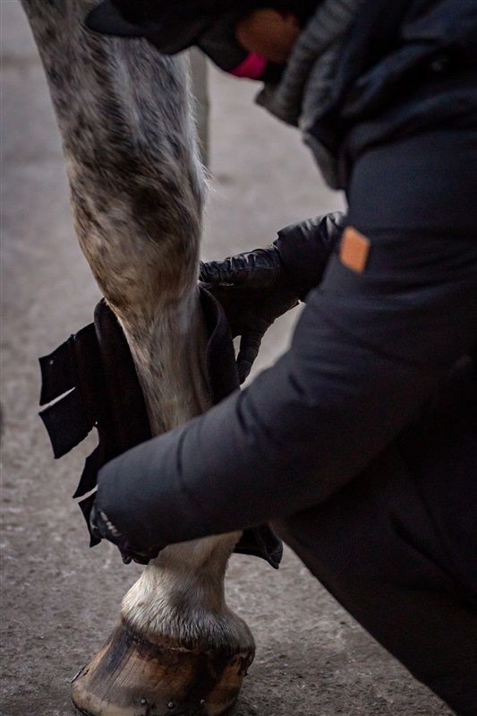 HUSK Breathable Horse Boots 