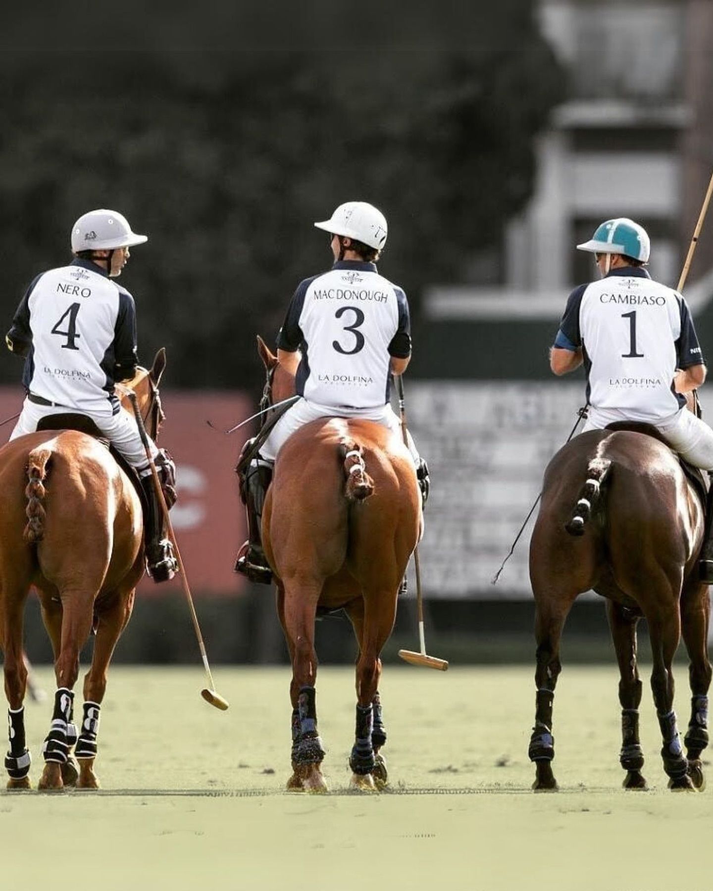 HUSK Cambiaso Polo Boots