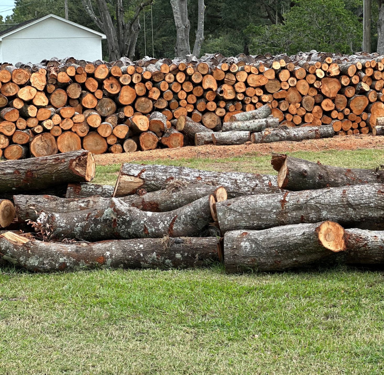 rtk premium firewood