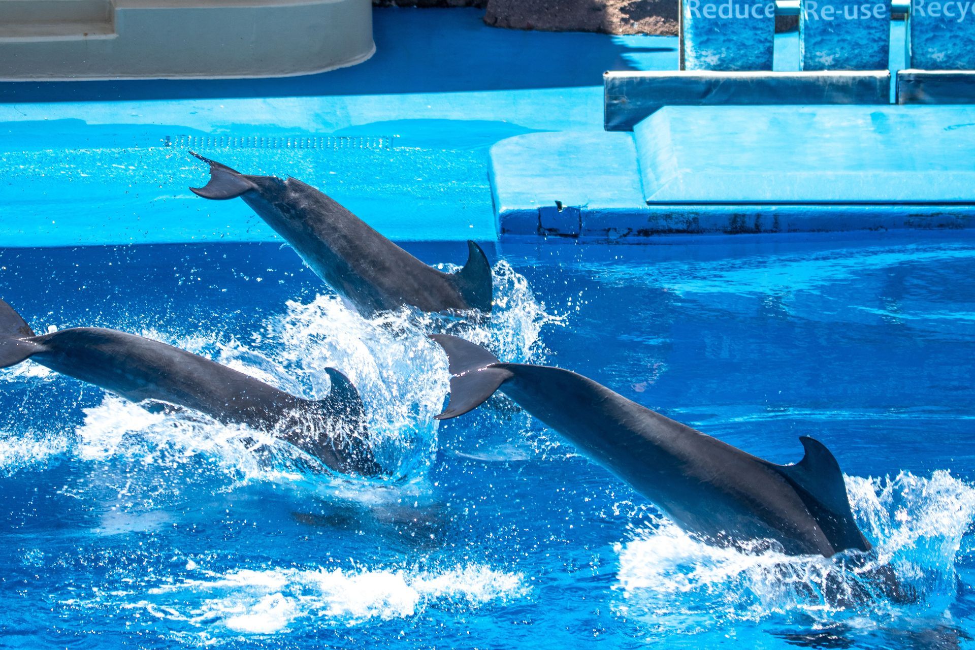 SeaWorld Orlando