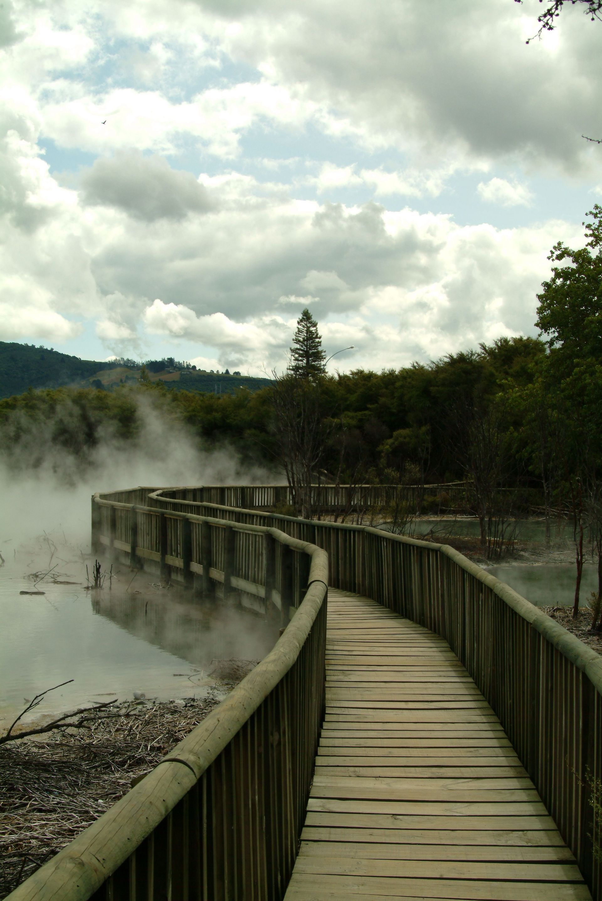 Rotorua Geothermal & Māori Cultural Experiences