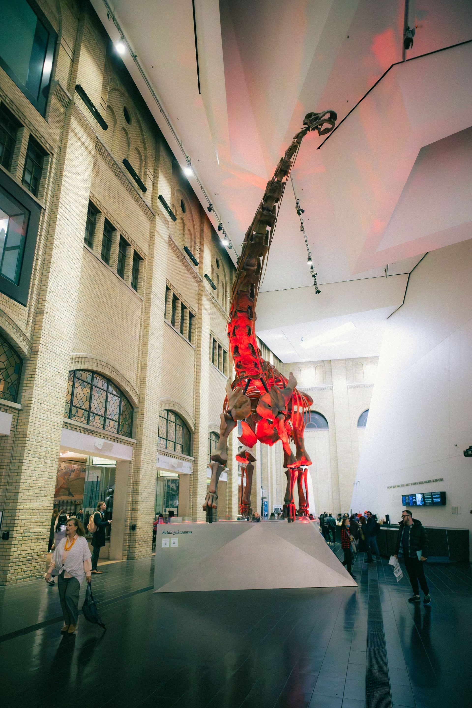 Toronto Museums & Waterfront
