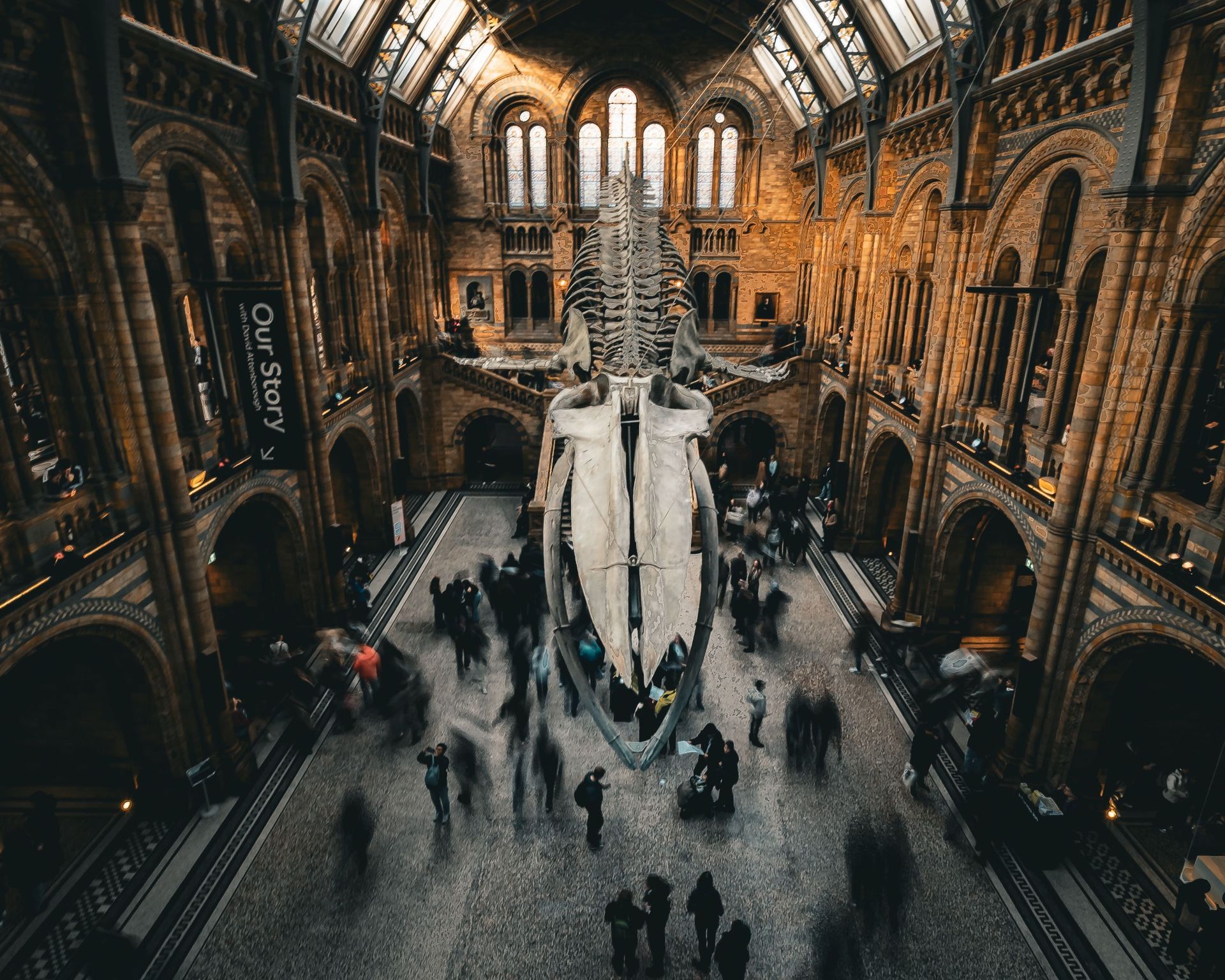 British Museum or Museum District