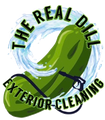 Logo for The Real Dill Exterior Cleaning with a green pickle and blue water swirl