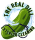 Logo for The Real Dill Exterior Cleaning with a green pickle and blue water swirl