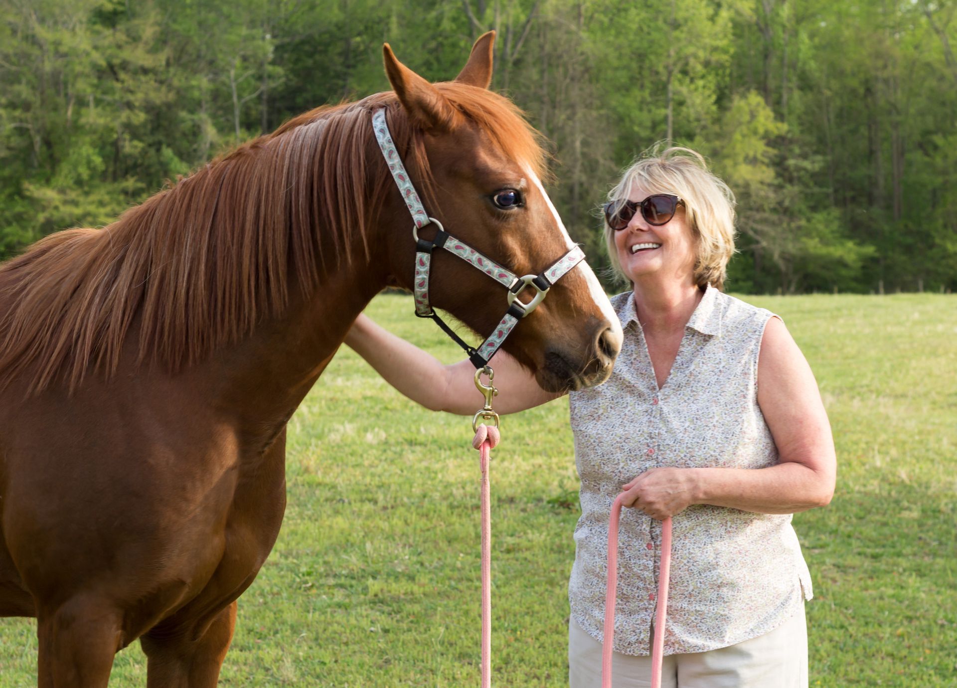 Brown horse calmly led by a woman across a sunlit meadow, reflecting a caring horse retirement home.