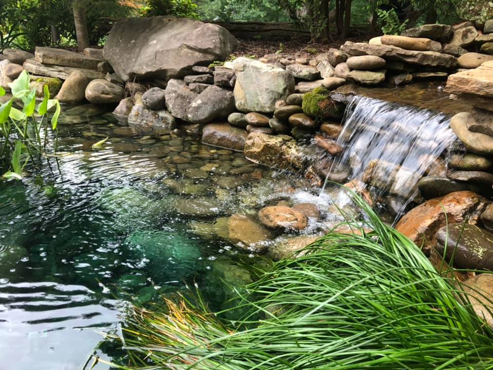 Clean Fish Pond with Falls — Newnan, GA — Aqua Gardens