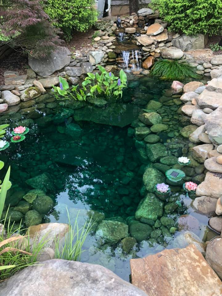 Green Fish Pond — Newnan, GA — Aqua Gardens