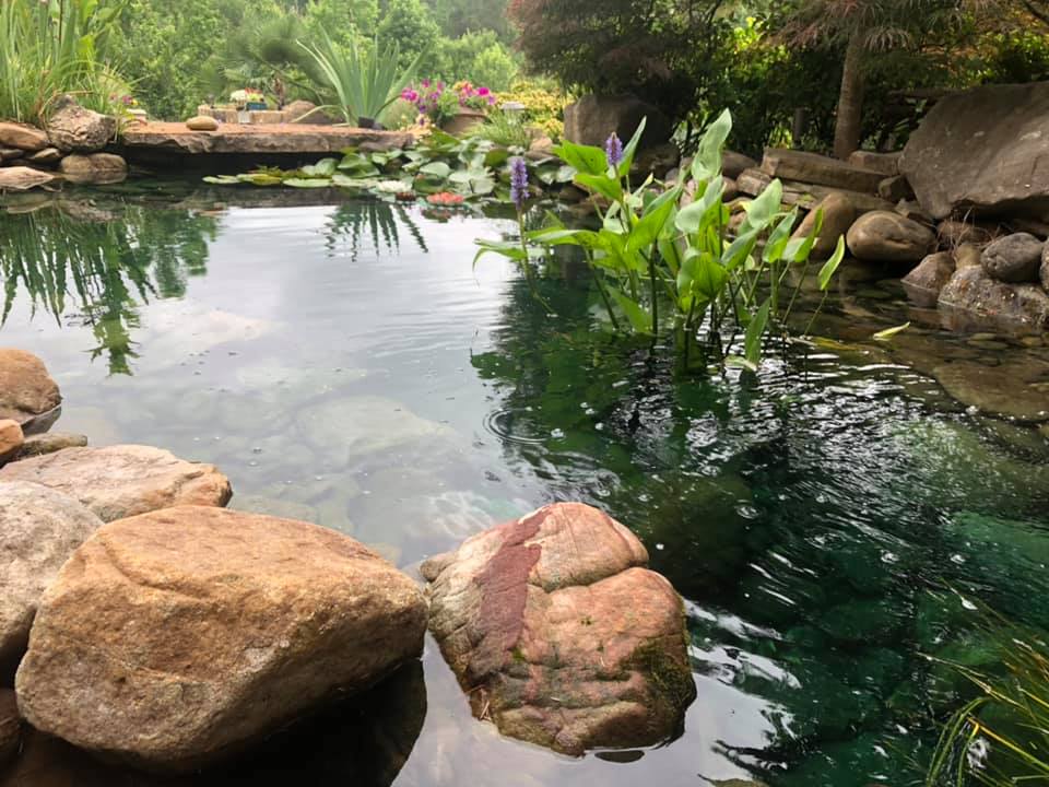 Pond with Clean Water — Newnan, GA — Aqua Gardens