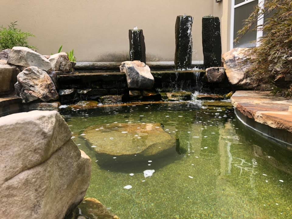 Fish Pond with Dirty Water — Newnan, GA — Aqua Gardens