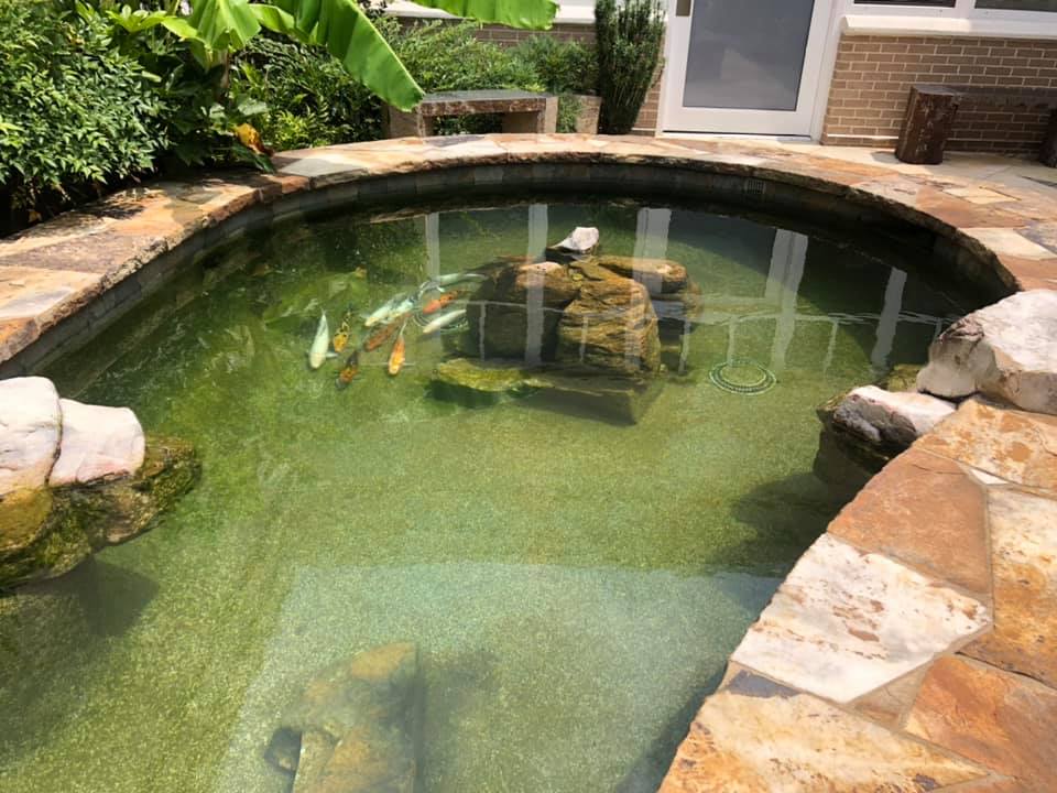 Man Made Fish Pond — Newnan, GA — Aqua Gardens