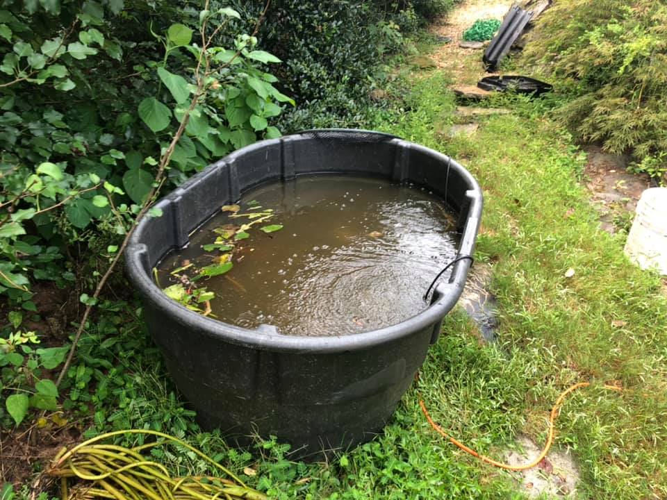 Dirty Water — Newnan, GA — Aqua Gardens