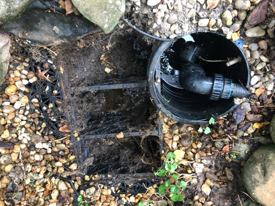 Dirty Pond Filter — Newnan, GA — Aqua Gardens