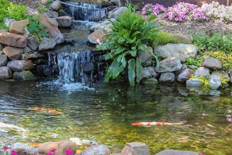 Koi Pond — Newnan, GA — Aqua Gardens