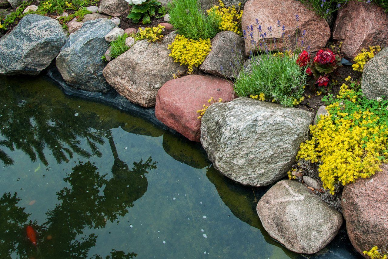 Residential Koi Pond — Newnan, GA — Aqua Gardens