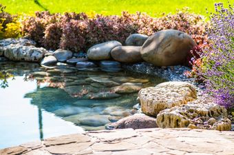 Clean Pond — Newnan, GA — Aqua Gardens