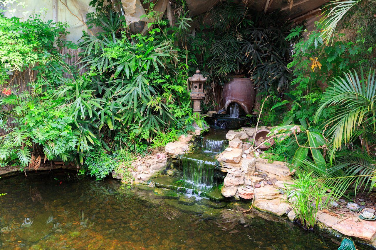 Pond With Waterfalls — Newnan, GA — Aqua Gardens