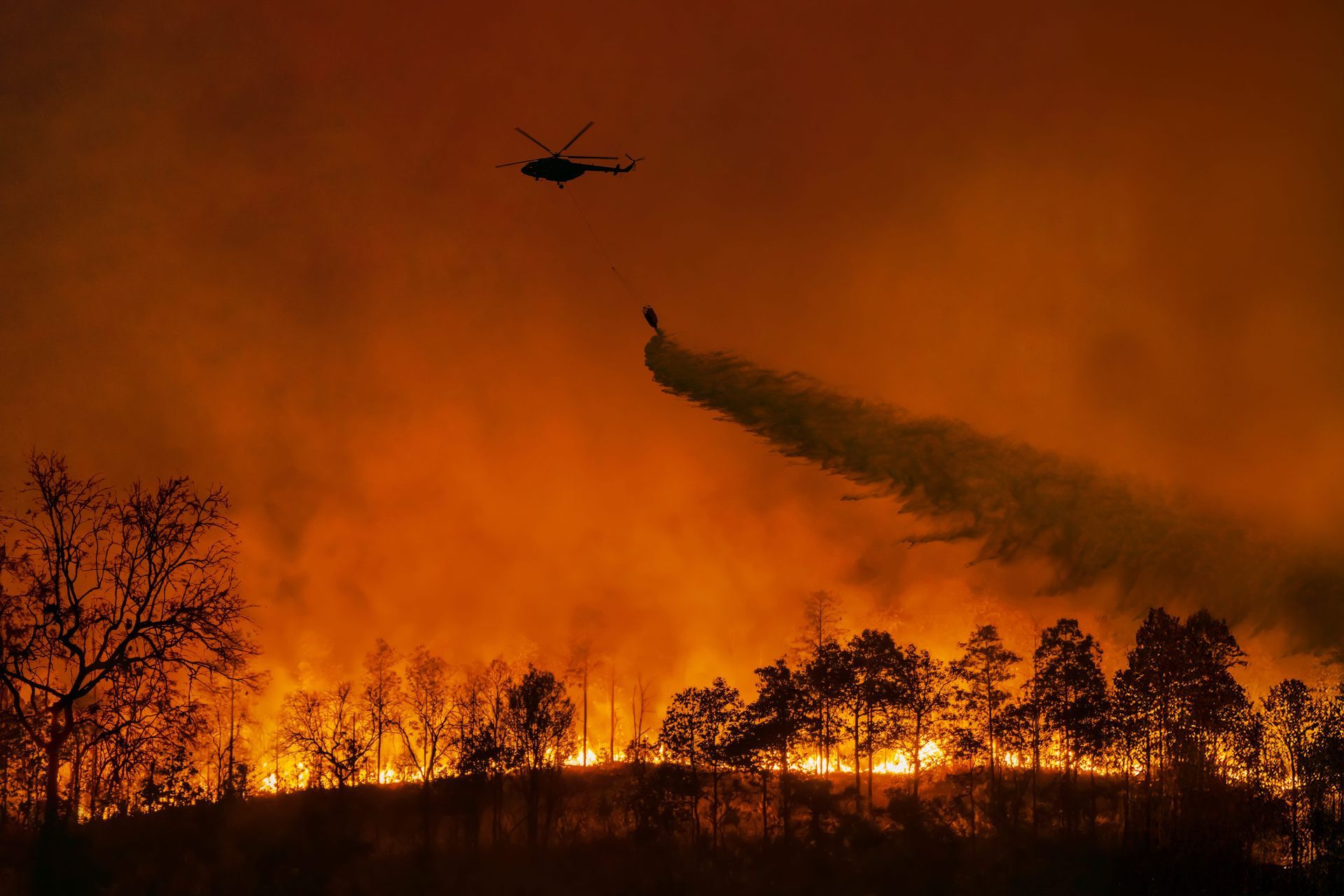 California Wildfire